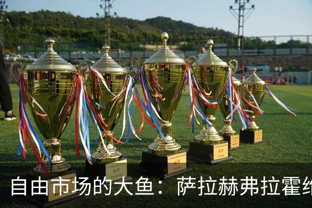 自由市场的大鱼：萨拉赫弗拉霍维奇在列 桑乔或再回多特