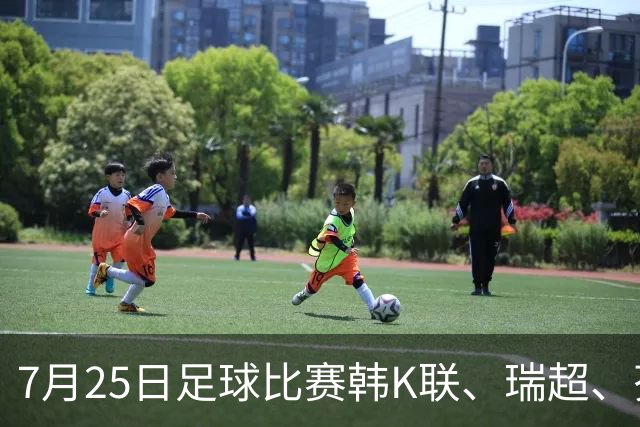 7月25日足球比赛韩K联、瑞超、芬超、挪超、巴西甲、美职业赛事分析、比赛预测